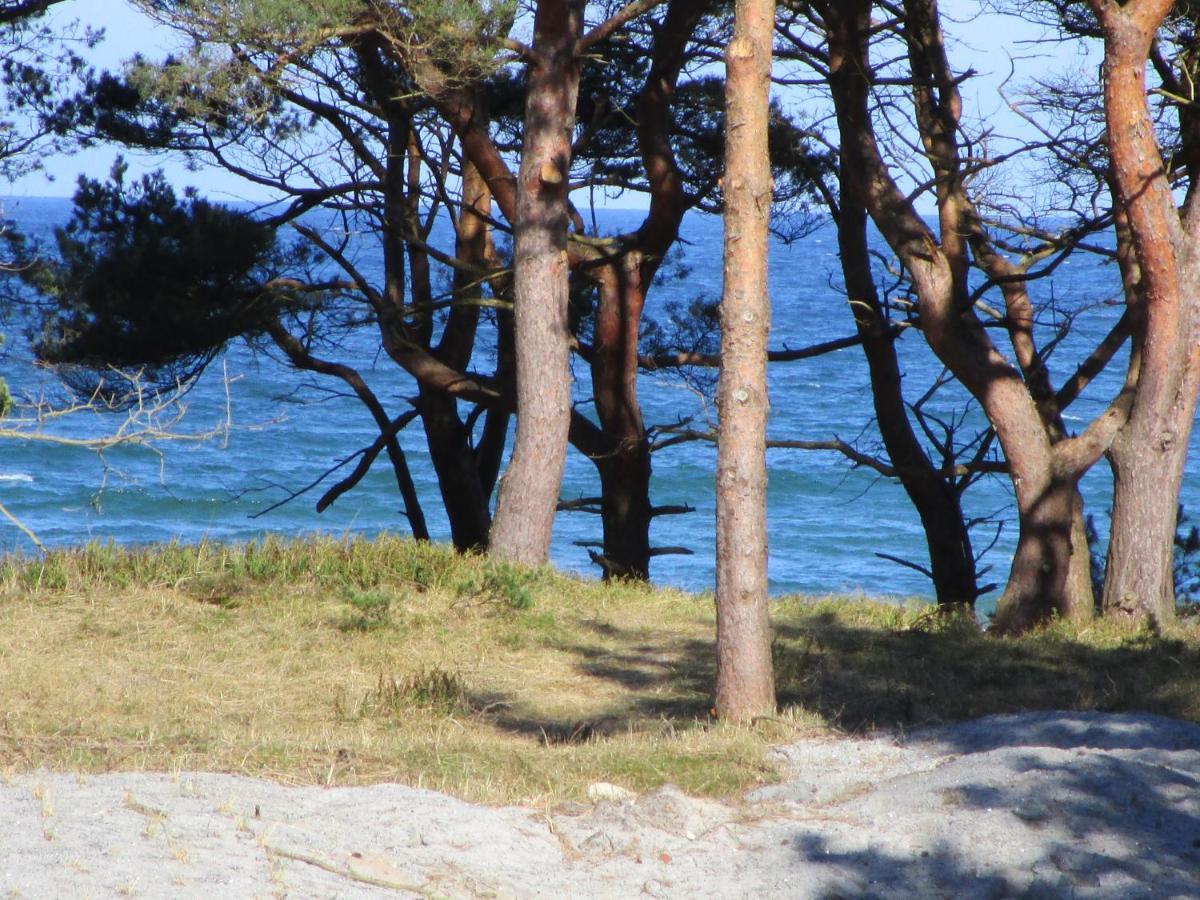 Strandapartment Kapitaen Prora บินซ์ ภายนอก รูปภาพ